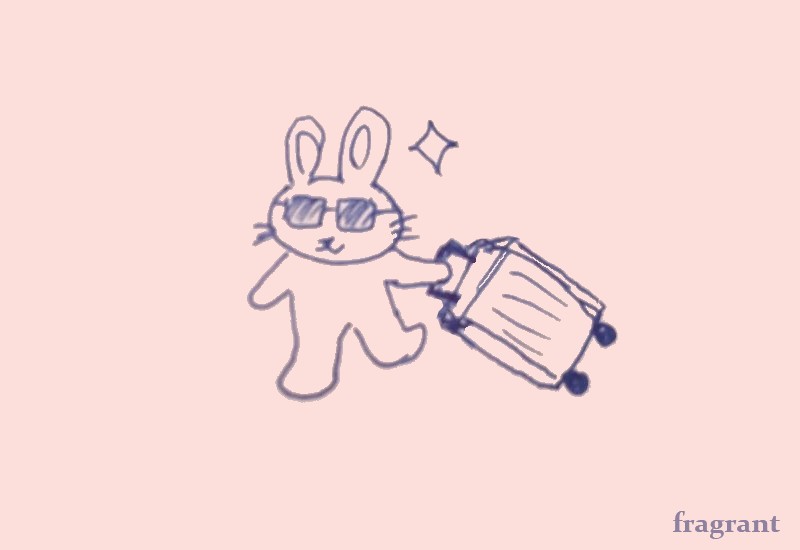 スーツケース＆サングラス